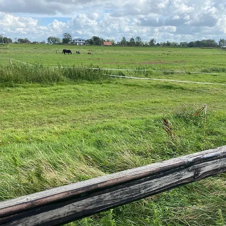 Tiny House With Hotub Near Beach And Amsterdam 希勒霍姆