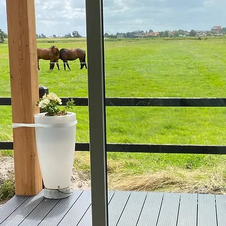 Tiny House With Hotub Near Beach And Amsterdam 木屋 *